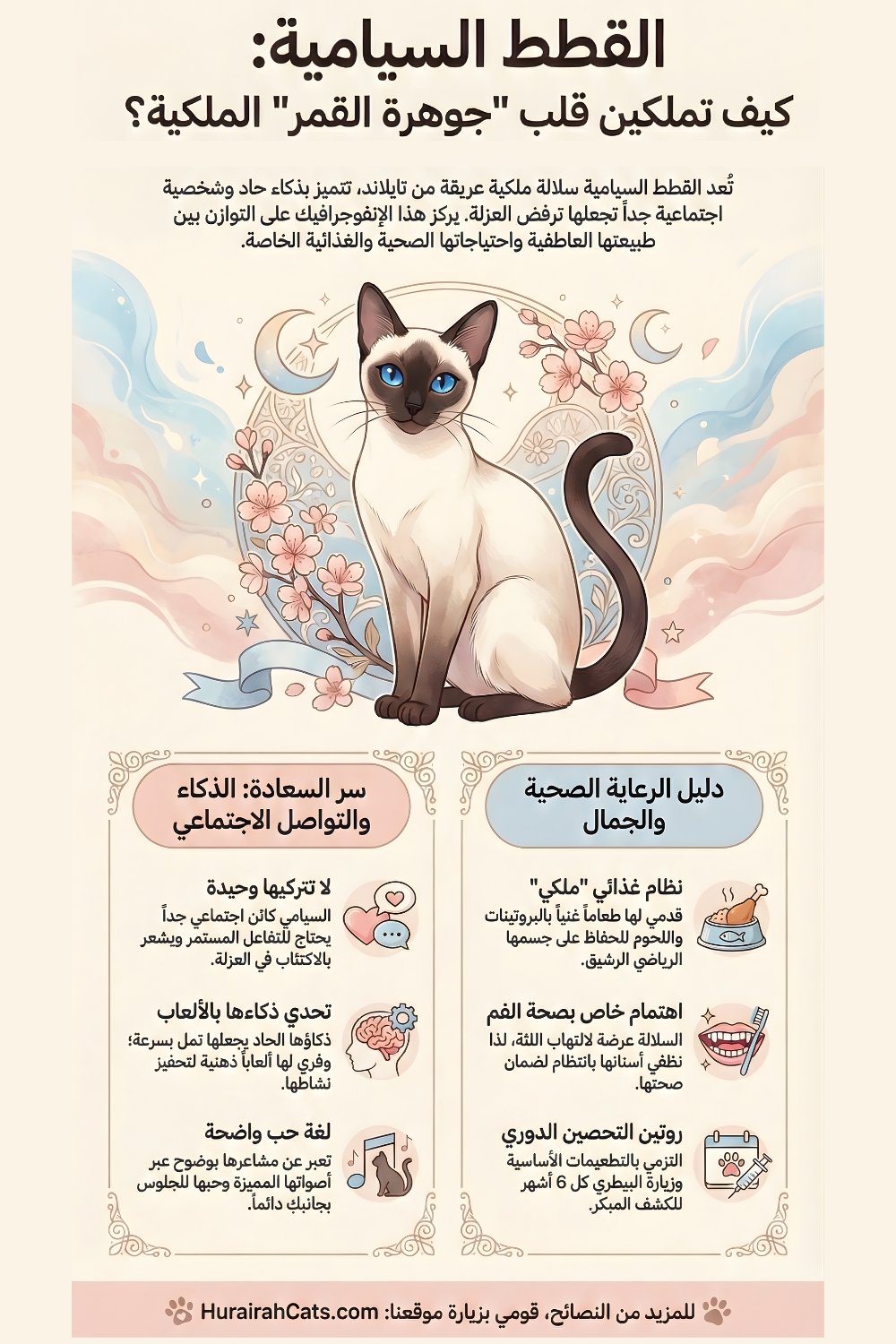 إنفوغرافيك يعرّف بالقطط السيامية، يوضّح مظهرها الأنيق، شخصيتها الاجتماعية، وأبرز سماتها السلوكية.
