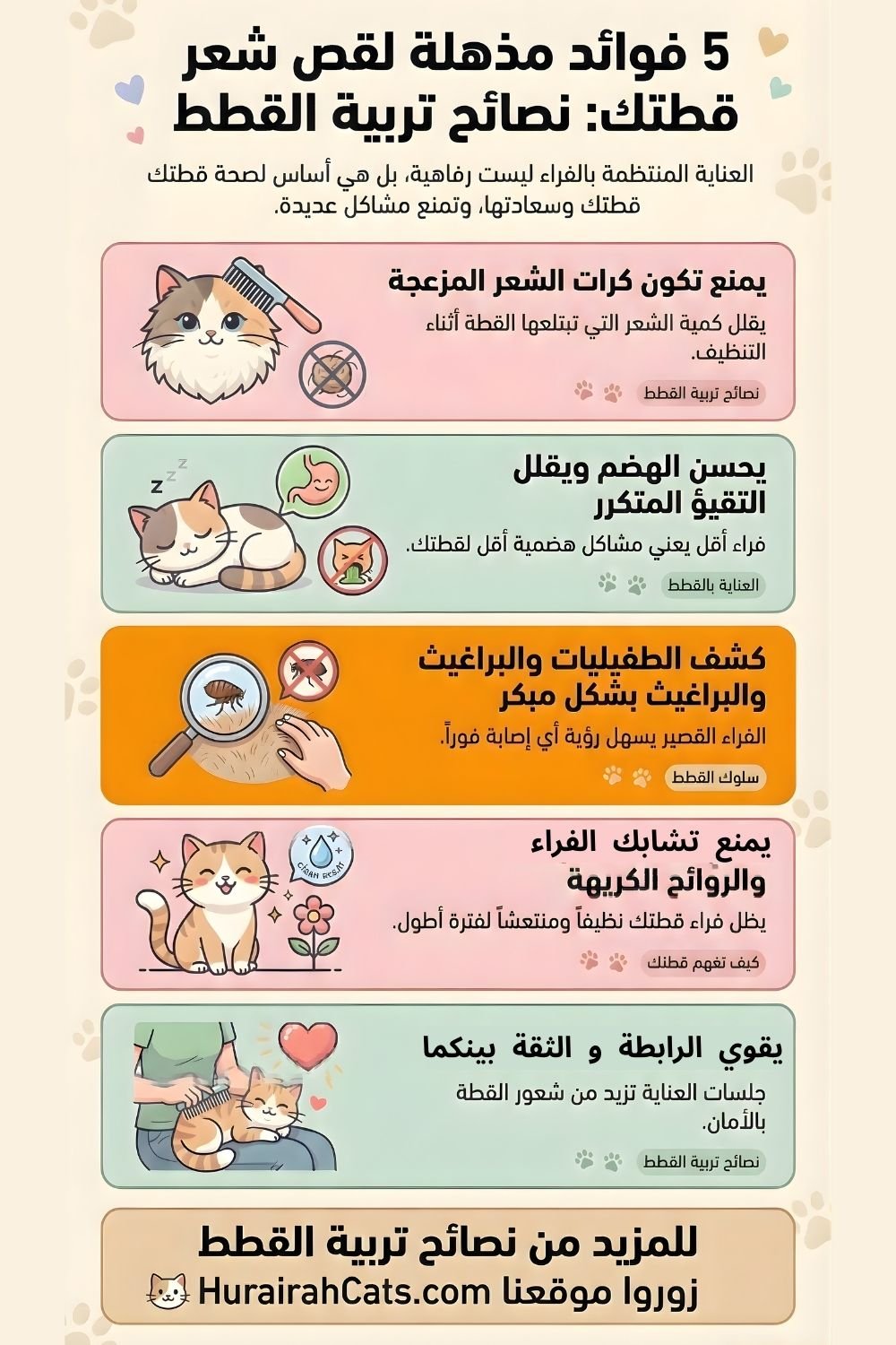 هل يحتاج القط فعلًا إلى قص شعره؟
في بعض الحالات قد يساعد تقليم الفراء في تقليل التشابك وتحسين راحة القطة، خاصة لدى القطط ذات الشعر الطويل.