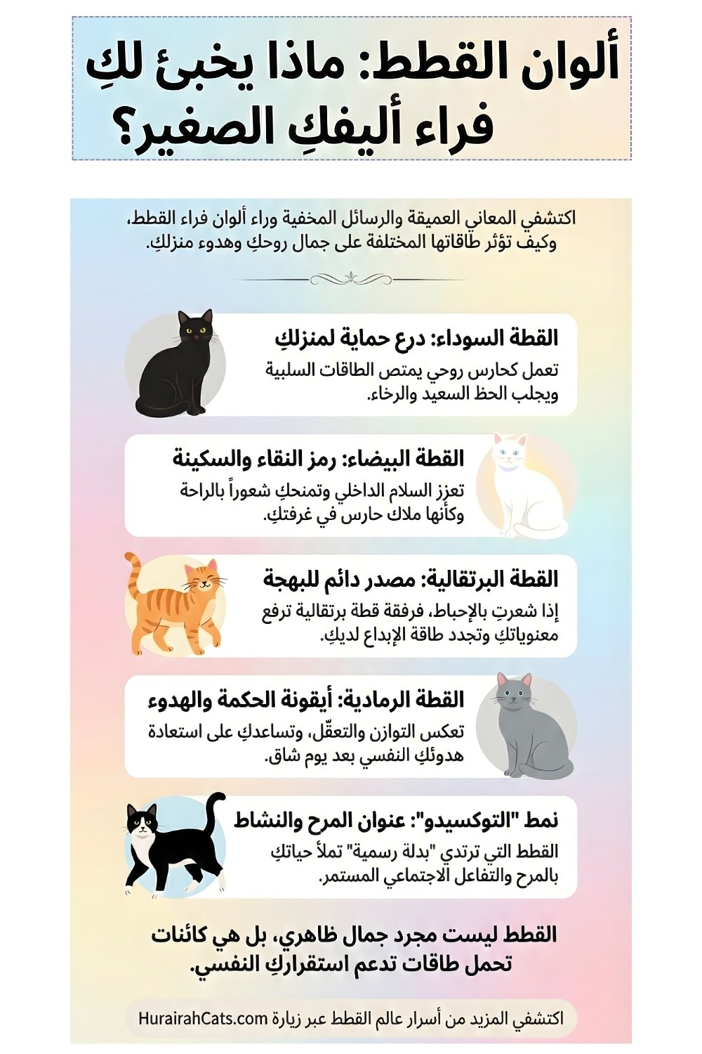 إنفوغرافيك يوضح ألوان القطط المختلفة مثل الأسود، الأبيض، البرتقالي، الرمادي، والمرقّط، مع شرح معانيها الرمزية وتأثيرها النفسي والثقافي.