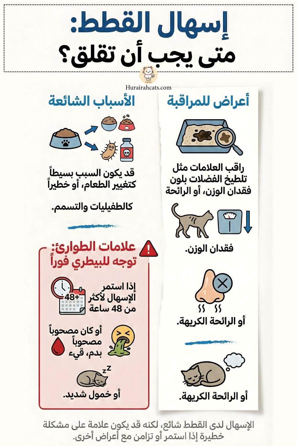 إنفوغرافيك يوضّح إسهال القطط، أبرز أسبابه مثل اضطراب الهضم والطفيليات، أهم الأعراض التحذيرية، وخيارات العلاج والوقاية بأسلوب بصري مبسّط.