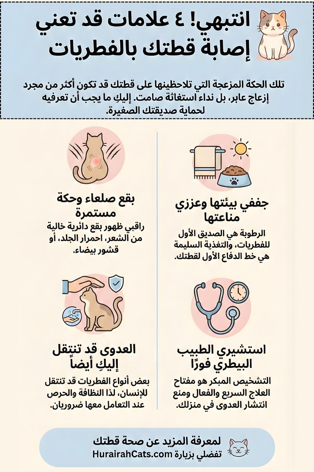 إنفوغرافيك يوضّح شكل فطريات القطط على الجلد مثل البقع الدائرية الخالية من الشعر، الاحمرار، القشور، والحكة، مع تنبيه لأهمية العلاج البيطري المبكر.