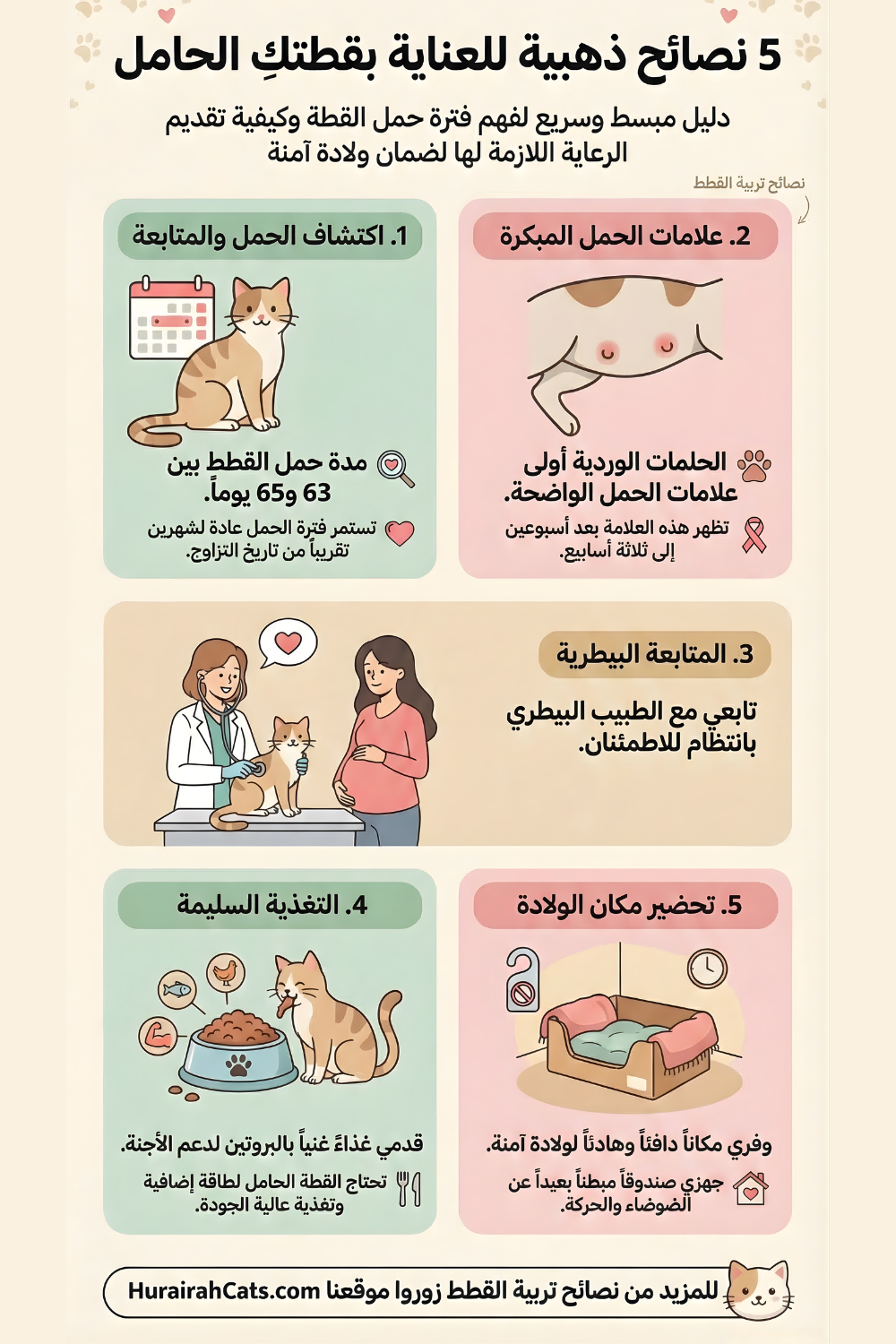 إنفوغرافيك يوضح مراحل حمل القطط ومدة الحمل والعلامات التي تدل على حمل القطة مع نصائح للعناية بالقطة الحامل.