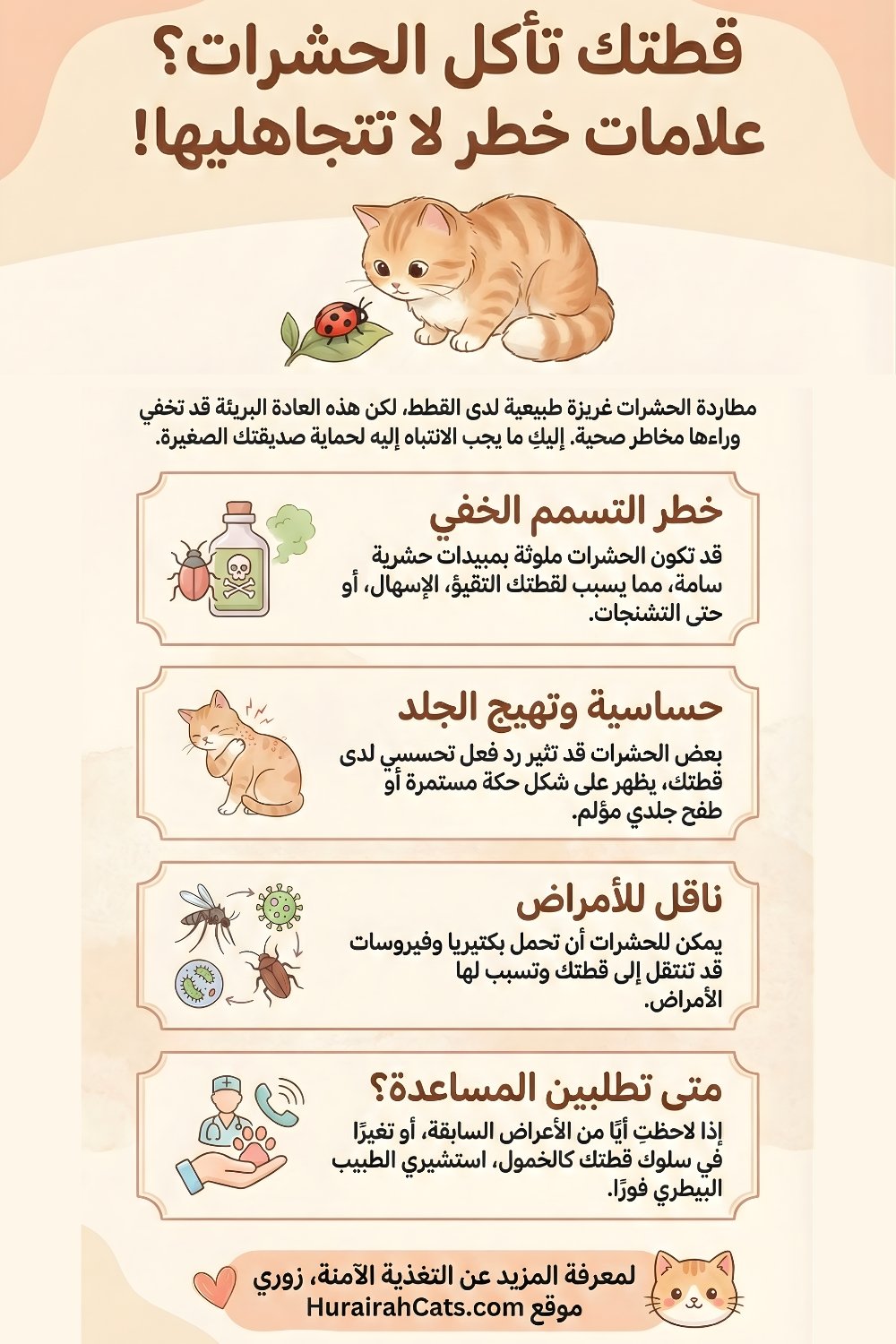 إنفوغرافيك يوضّح هل أكل القطط للحشرات آمن، مع عرض الفوائد المحدودة مثل البروتين، والمخاطر المحتملة كالتسمم بالمبيدات وانتقال الطفيليات، ونصائح للتصرف الآمن.