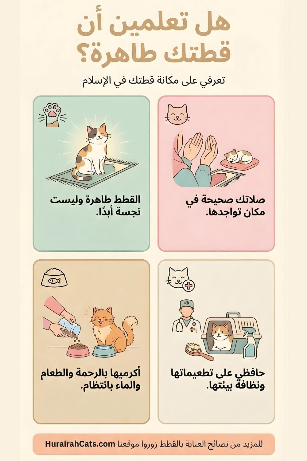 إنفوغرافيك يوضح حكم طهارة القطط في الإسلام ويبيّن أن القطط حيوانات طاهرة تعيش مع الناس ويمكن تربيتها في المنزل.