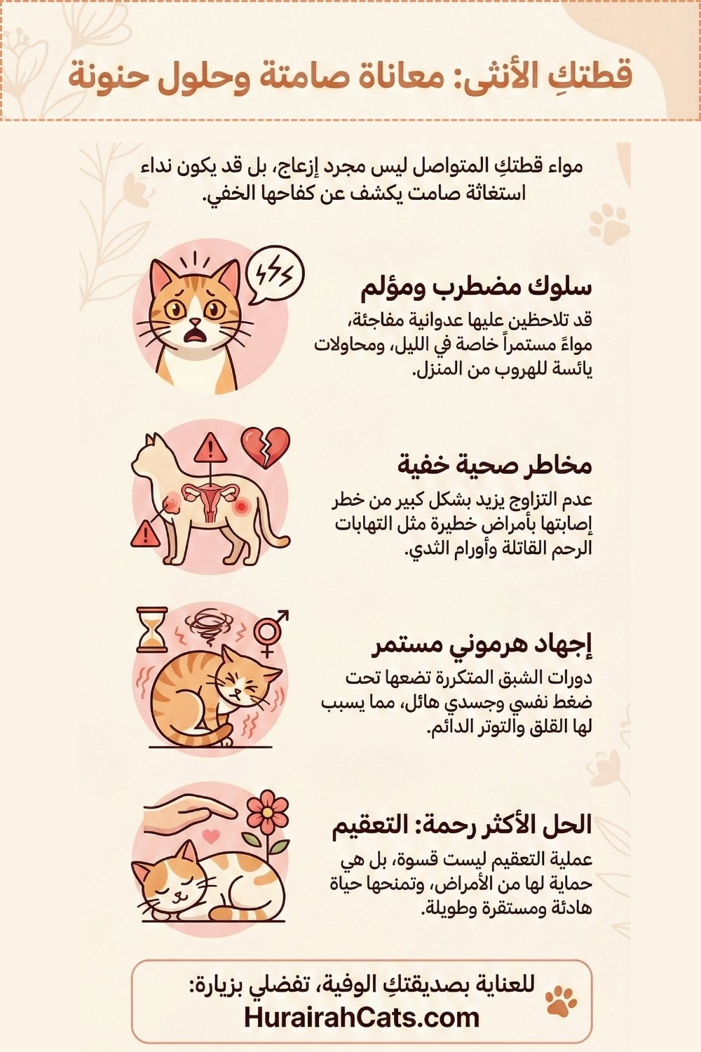 إنفوغرافيك يوضّح الأضرار الصحية والسلوكية المحتملة لعدم تزاوج القطط الأنثى، مثل اضطرابات الهرمونات، التوتر، ومشاكل الرحم، مع توضيح أن التعقيم خيار مختلف وأكثر أمانًا.