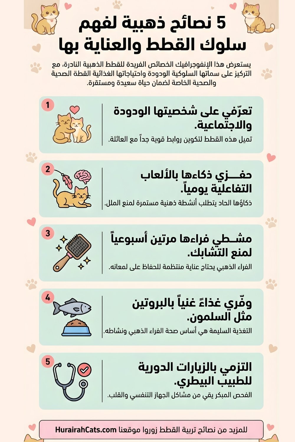 إنفوغرافيك يعرّف بالقطط الذهبية ذات الفراء الذهبي اللامع، مع توضيح أبرز صفاتها الشكلية وسلوكها الهادئ وطبيعتها النادرة بين سلالات القطط.