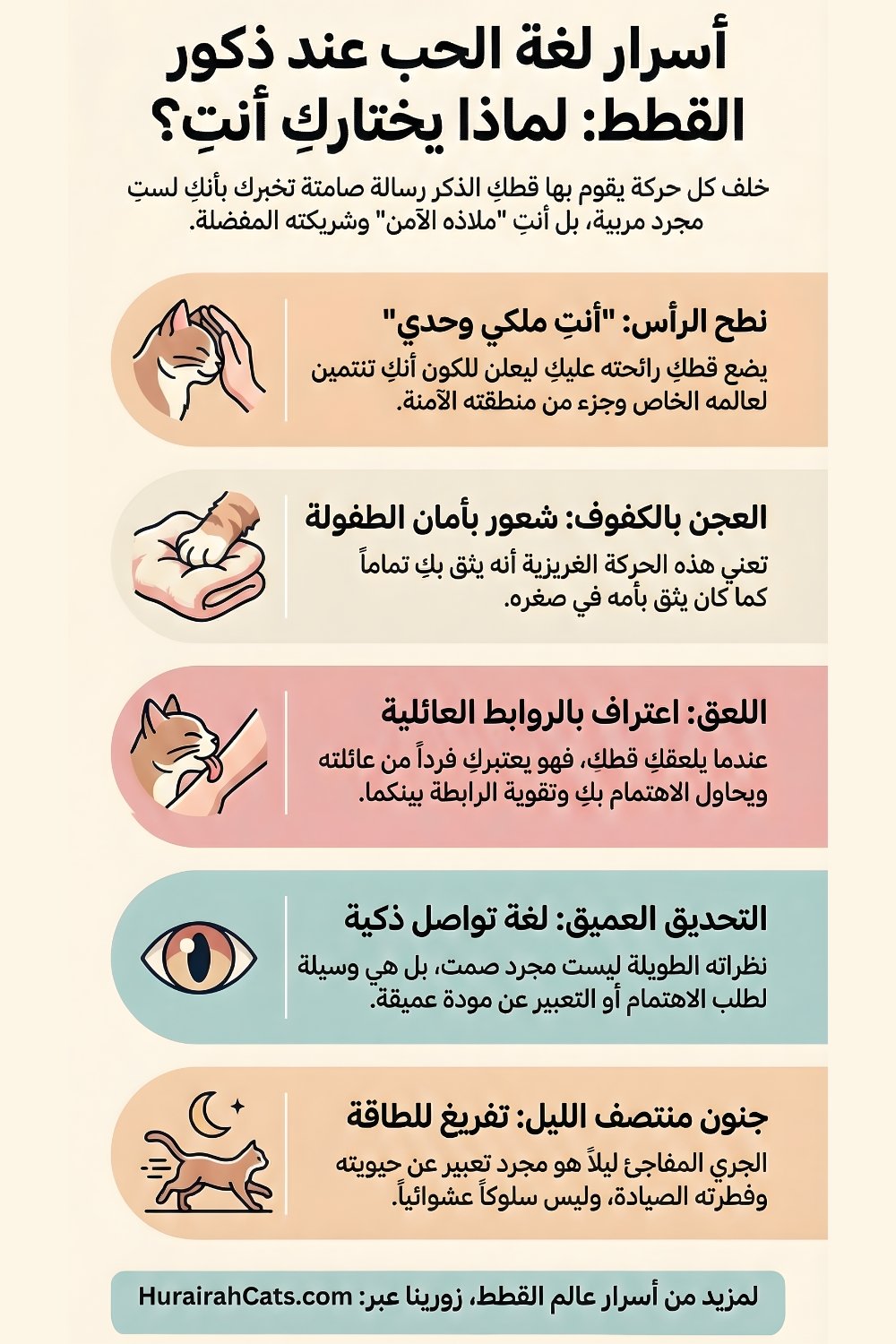 
إنفوجرافيك مصوّر يلخص 5 تصرفات مميزة رئيسية لذكور القطط ويفسر سبب قيامهم بها مع أصحابهم فقط. يحتوي على رسوم توضيحية لسلوكيات: نطح الرأس، العجن، تقديم الفريسة، الخرخرة، والرفع بالمؤخرة، مع شرح علمي وعاطفي مبسط لكل منها.