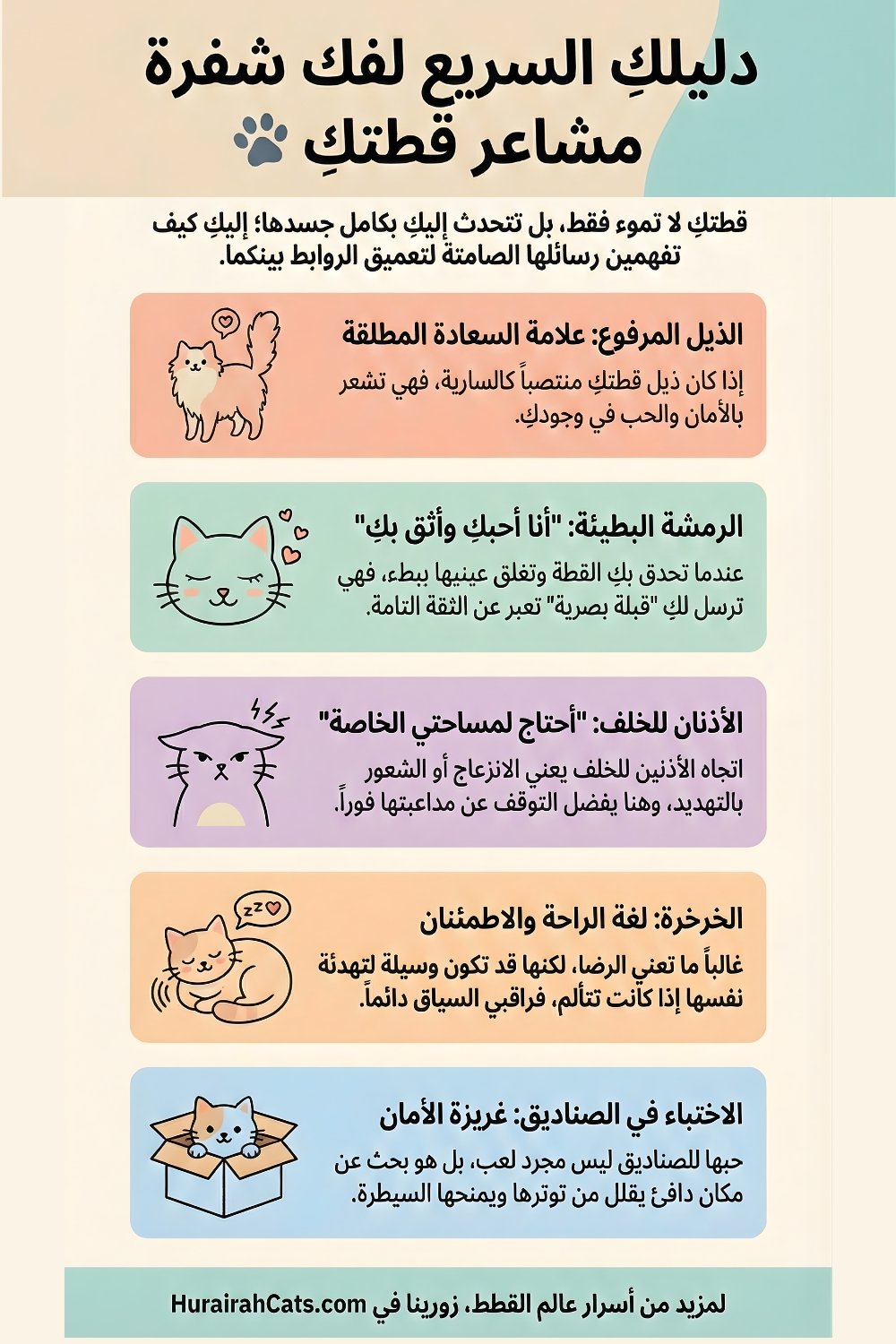 إنفوغرافيك يشرح لغة القطط من خلال إشارات الجسد مثل الذيل والأذنين والعيون، إضافة إلى معاني أصوات القطط المختلفة بأسلوب مبسّط.