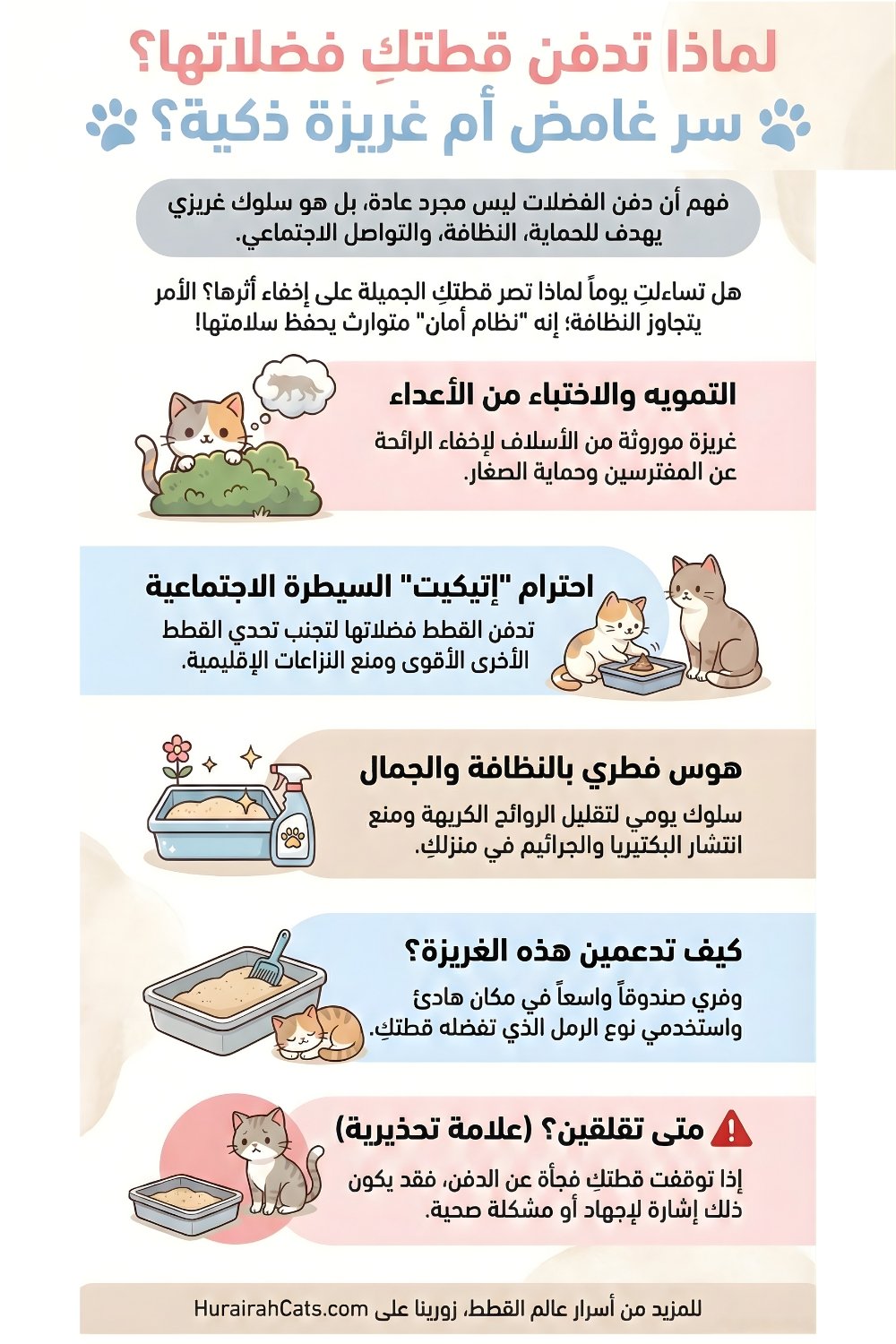إنفوغرافيك يشرح أسباب قيام القطط بدفن فضلاتها، مثل الغريزة، الأمان، والتواصل غير المباشر، بأسلوب مبسّط.