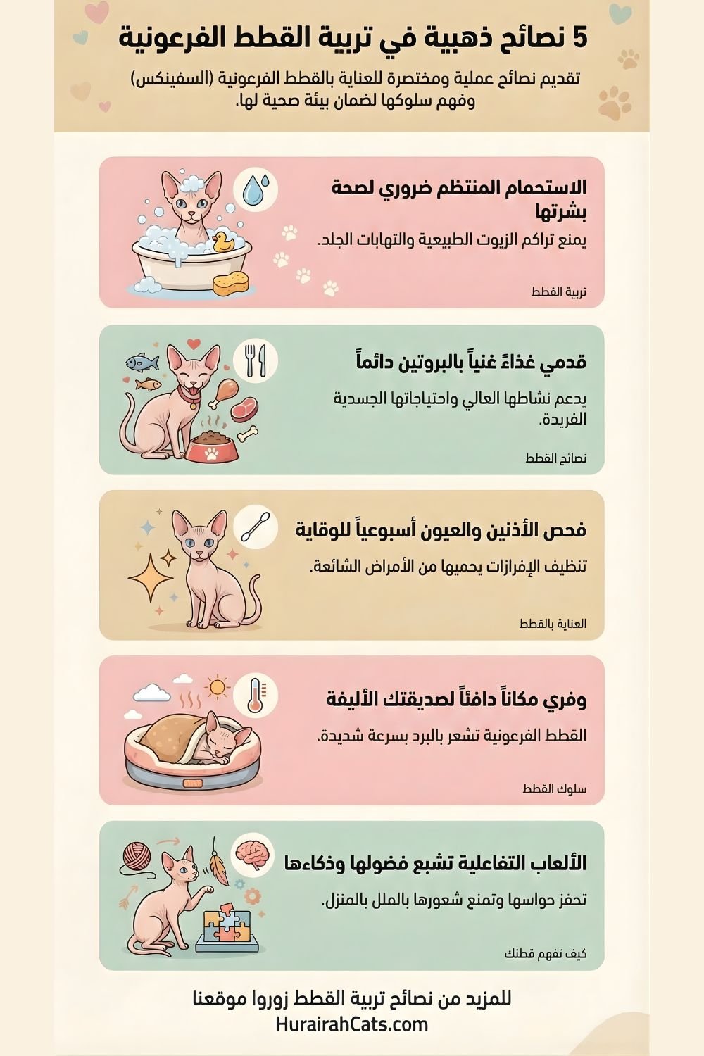 إنفوغرافيك يشرح سلالة القطط الفرعونية سفينكس وهي قطة بلا شعر تتميز بجلد مجعد وأذنين كبيرتين وشخصية اجتماعية محبة للإنسان.