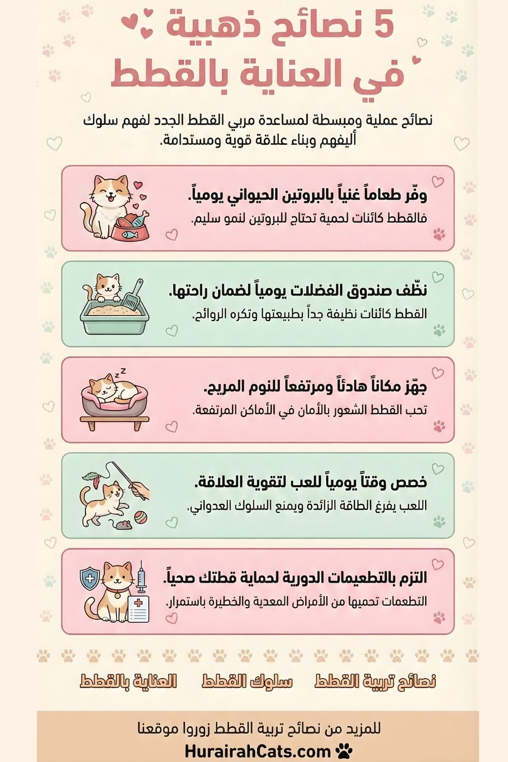 إنفوغرافيك يوضح خطوات تبنّي قطة للمبتدئين يشمل الاستعداد المنزلي واختيار القطة المناسبة والزيارة البيطرية الأولى وتجهيز مستلزمات الرعاية الأساسية.