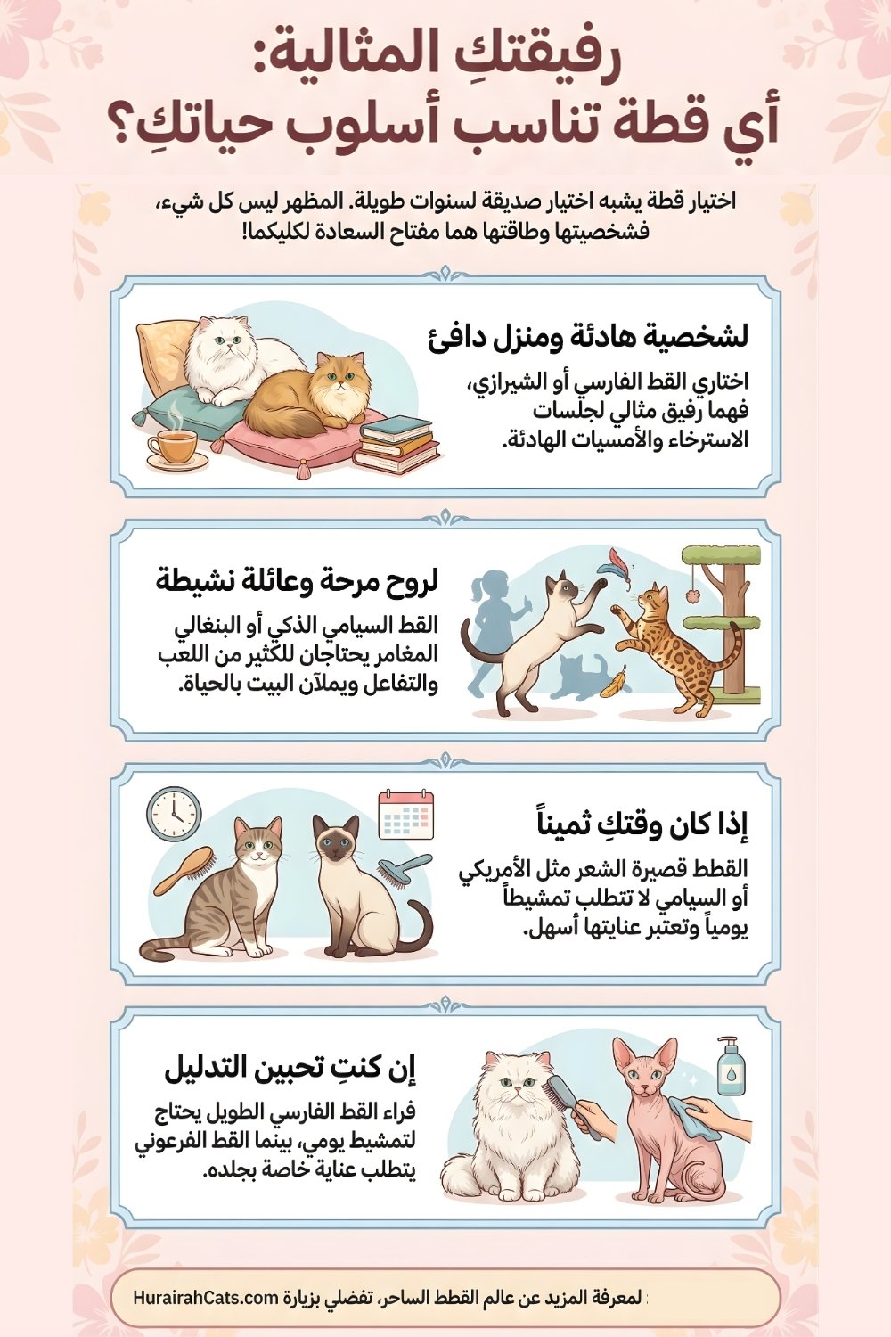 إنفوغرافيك يوضح أنواع القطط المنزلية الشائعة، مع مقارنة بين طباعها، مستوى النشاط، ومتطلبات العناية لكل نوع، لمساعدة المربين على اختيار القطة المناسبة.