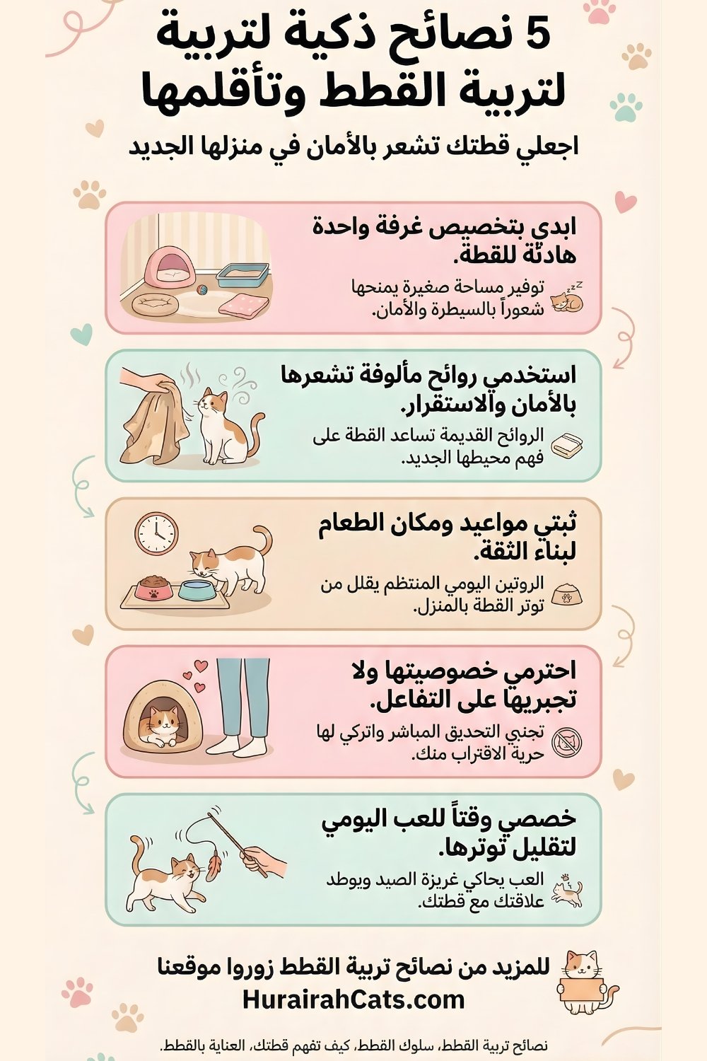 إنفوغرافيك يوضح خطوات تساعد القطط الكبيرة على التأقلم مع منزل جديد مثل توفير غرفة هادئة والتدرج في التعارف وتقليل التوتر.