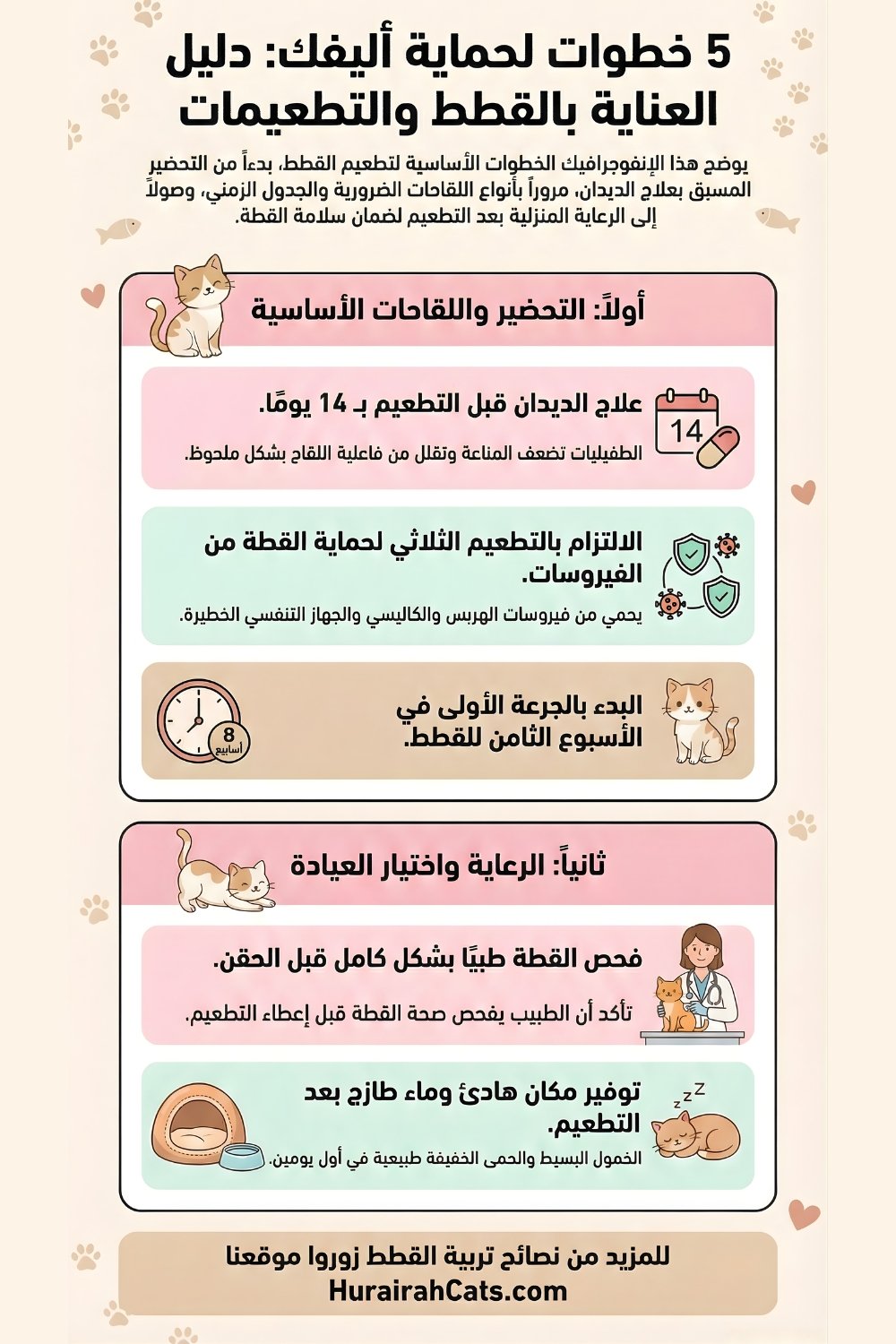 إنفوغرافيك يوضح جدول تطعيمات القطط حسب العمر وأهمية اللقاحات في الوقاية من الأمراض الخطيرة.