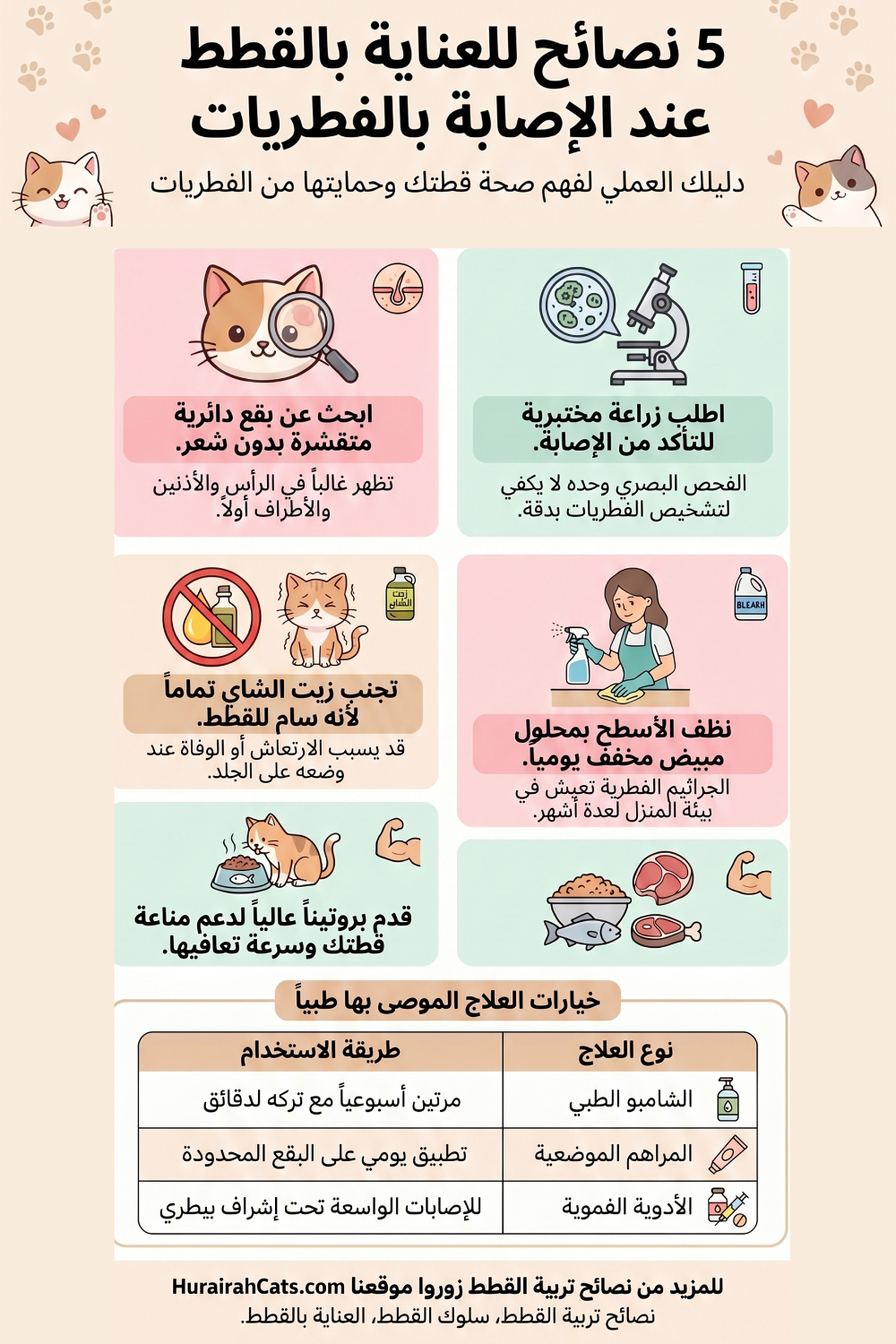 إنفوغرافيك يوضح 5 نصائح للعناية بالقطط عند الإصابة بالفطريات مع خيارات العلاج الموصى بها طبياً