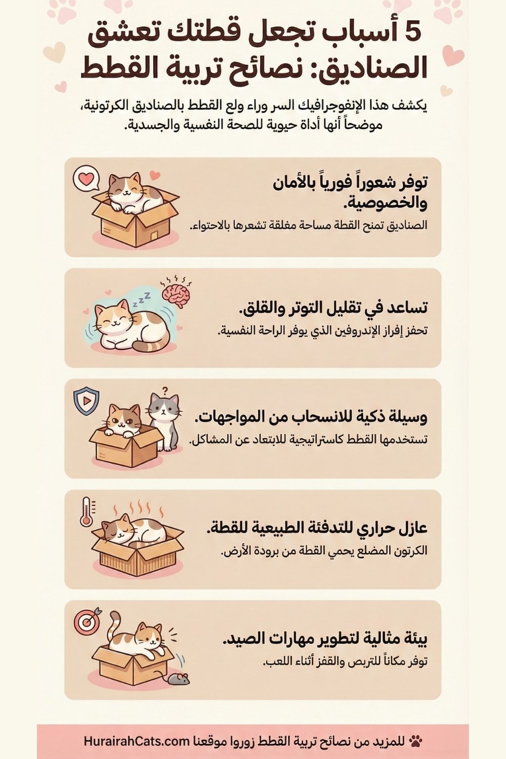 إنفوغرافيك يشرح سبب حب القطط للصناديق مثل الشعور بالأمان والدفء وتقليل التوتر.