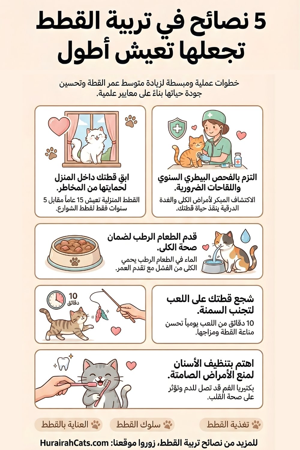 إنفوغرافيك يوضح متوسط عمر القطط والعوامل التي تؤثر عليه مثل التغذية والرعاية والصحة ونمط الحياة.