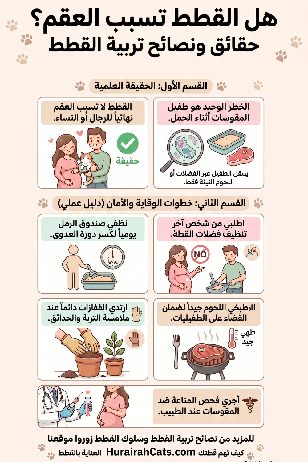 إنفوغرافيك يشرح العلاقة العلمية بين القطط والعقم ويوضح خطر داء المقوّسات على الحوامل واحتياطات السلامة