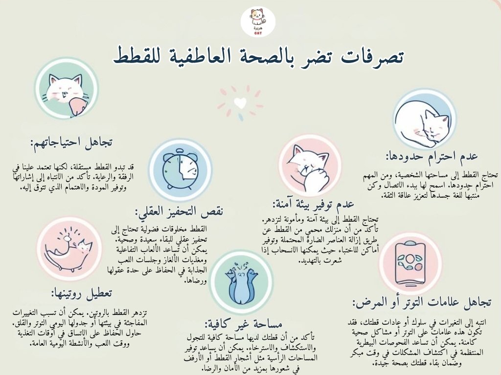 تصرفات تضر بالصحة العاطفية للقطط