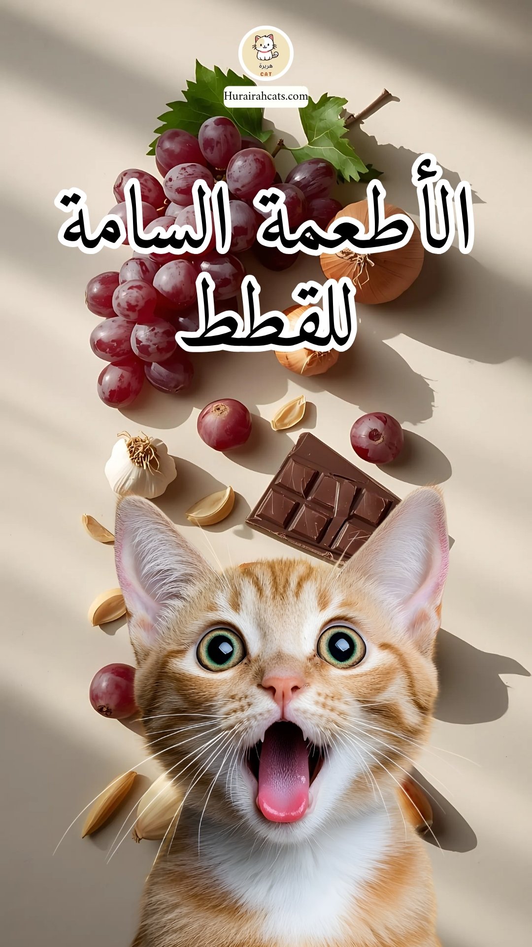 الأطعمة السامة للقطط
