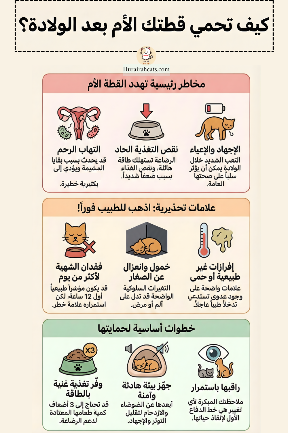 إنفوغرافيك يشرح كيفية حماية القطة الأم بعد الولادة، مع توضيح المخاطر الصحية مثل التهاب الرحم ونقص التغذية والإجهاد، وعلامات التحذير التي تستدعي زيارة الطبيب البيطري، وخطوات الرعاية الأساسية للأم وصغارها
