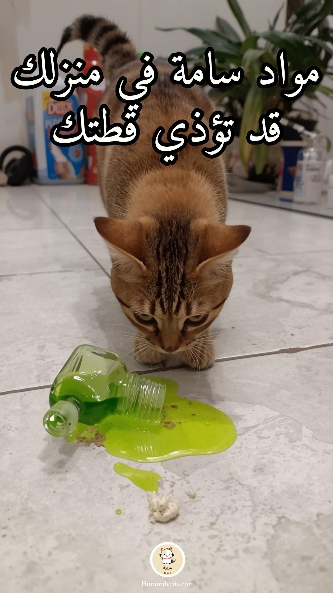 مواد-سامة-في-منزلك-قد-تؤذي-قطتك