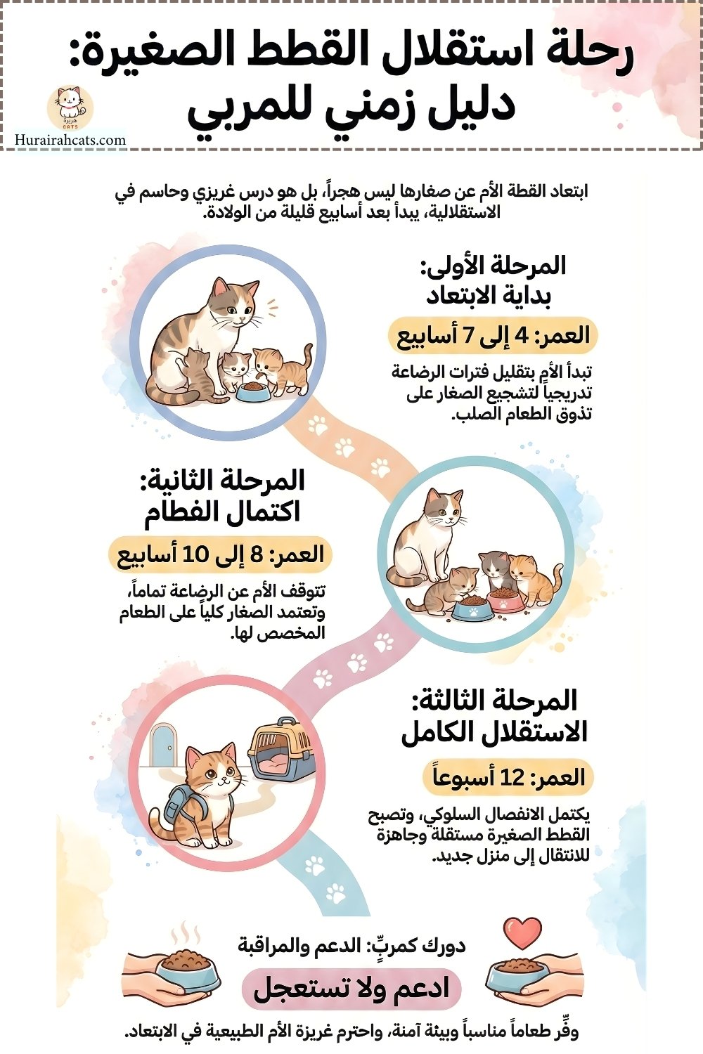 إنفوغرافيك تعليمي يشرح رحلة استقلال القطط الصغيرة عن القطة الأم بطريقة بصرية مبسطة، بدءًا من تقليل الرضاعة في عمر 4 إلى 7 أسابيع، مرورًا بمرحلة اكتمال الفطام بين 8 و10 أسابيع، وصولًا إلى الاستقلال السلوكي الكامل عند عمر 12 أسبوعًا. يوضّح التصميم أن ابتعاد القطة الأم عن صغارها هو سلوك غريزي صحي يهدف إلى إعدادهم للاعتماد على أنفسهم، وليس هجرًا أو إهمالًا. هذا الإنفوغرافيك مرفق بمقال توعوي يشرح الفطام الطبيعي للقطط ودور المربي في دعمه بهدوء.