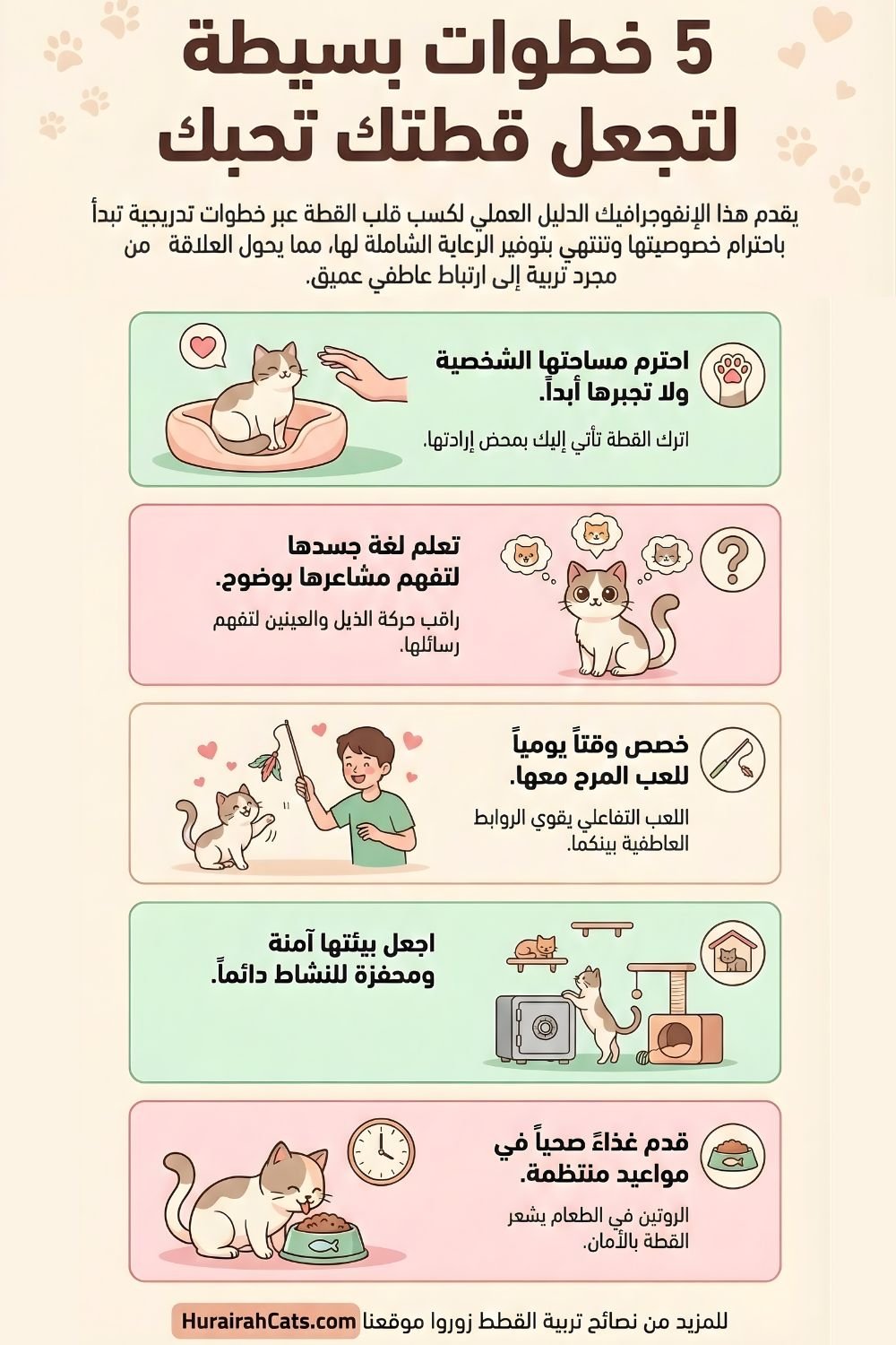 إنفوجرافيك تعليمي يوضح 5 خطوات عملية وبسيطة لكسب حب وثقة القطط. يتضمن الخطوات: احترام المساحة الشخصية للقطة، تعلم لغة جسدها (حركات الذيل والعينين)، تخصيص وقت يومي للعب التفاعلي، توفير بيئة آمنة ومحفزة، والاهتمام بالتغذية الصحية في مواعيد منتظمة.