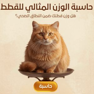 حاسبة الوزن المثالي للقطط — قطة برتقالية على ميزان