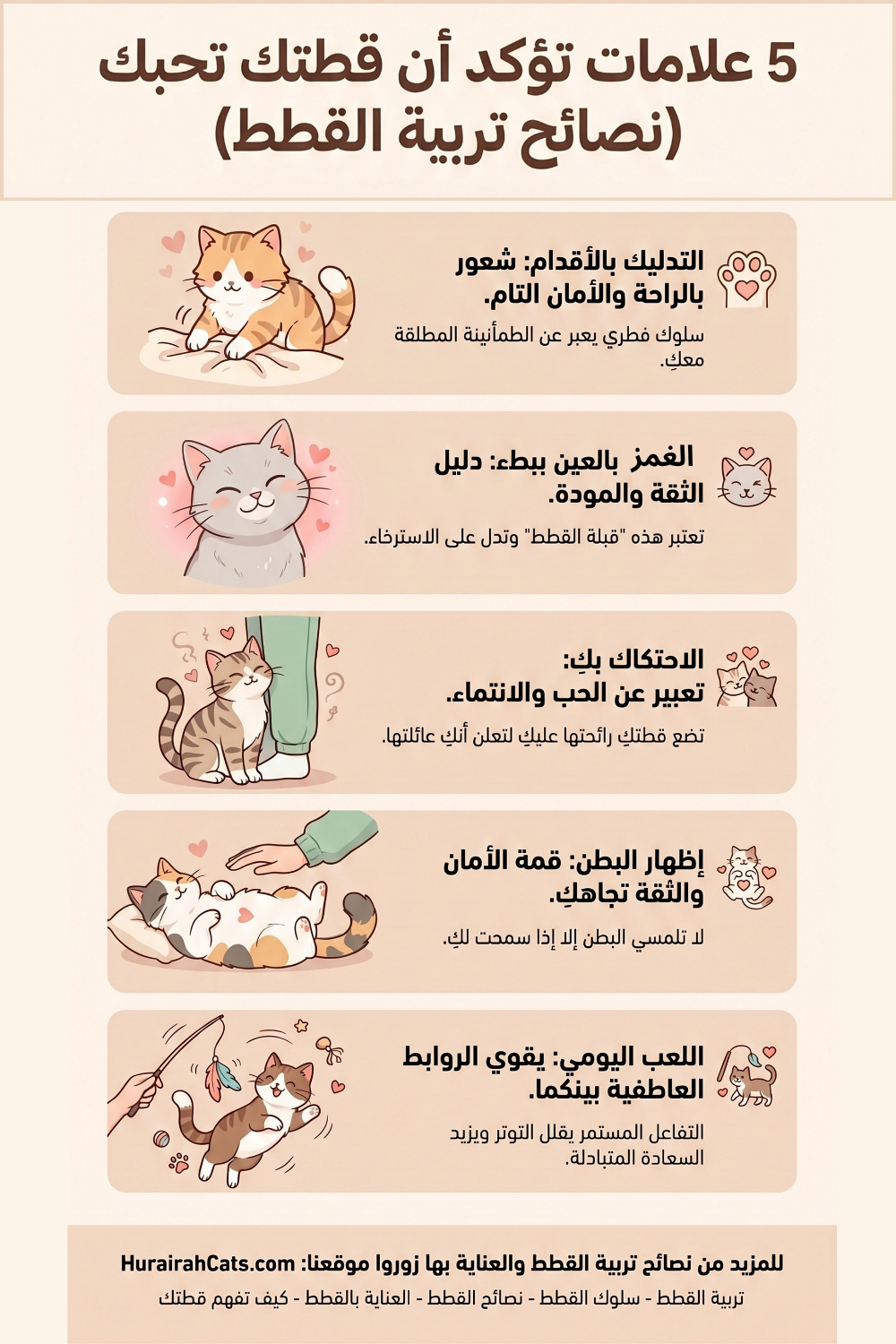 إنفوغرافيك يوضح 5 علامات تثبت حب القطط لأصحابها: التدليك بالأقدام، الرمش البطيء، الاحتكاك، إظهار البطن، واللعب اليومي