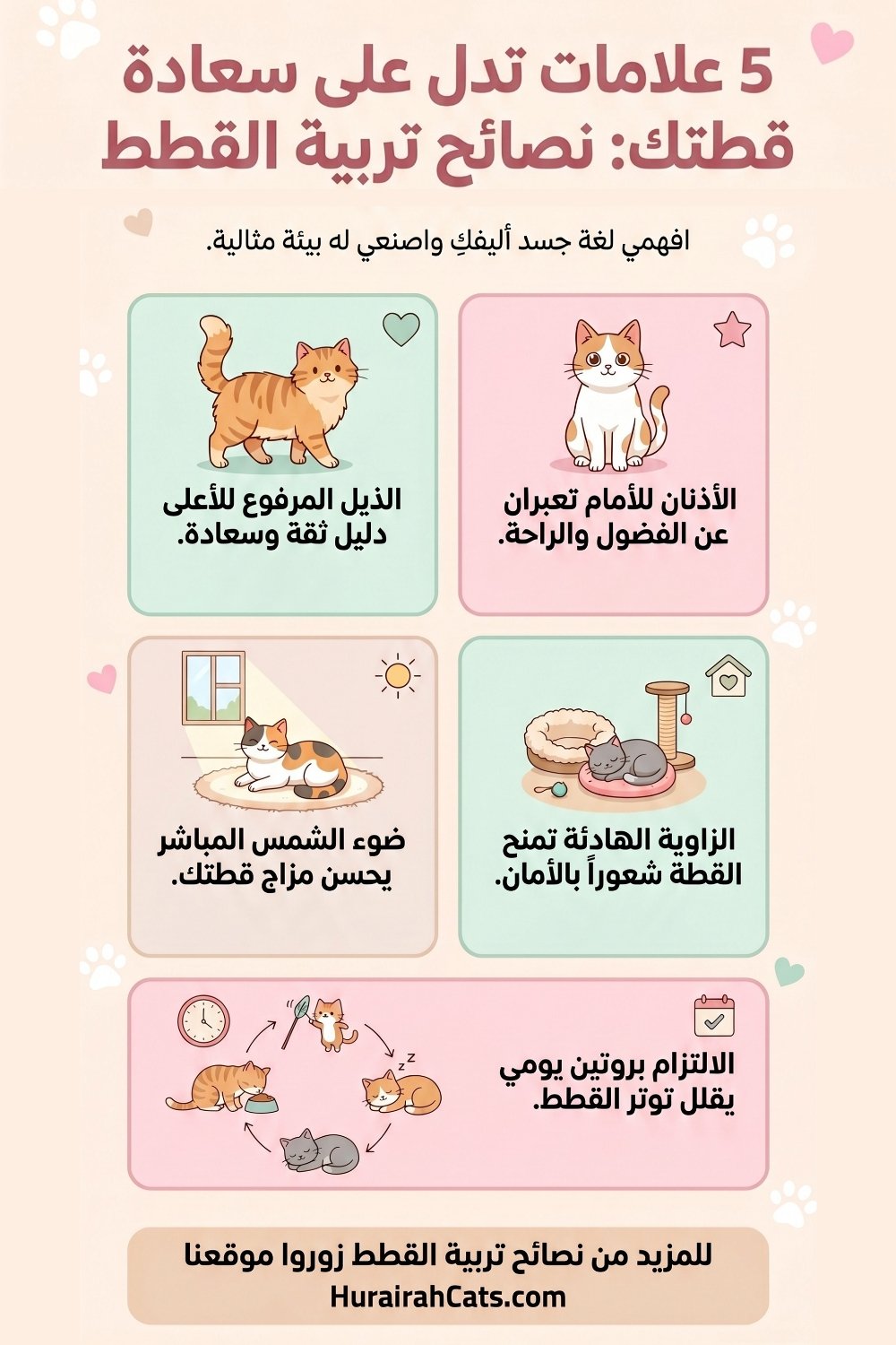 إنفوغرافيك يوضح 5 علامات سعادة القطط: الذيل المرفوع، الأذنان للأمام، ضوء الشمس، الزاوية الهادئة، والروتين اليومي