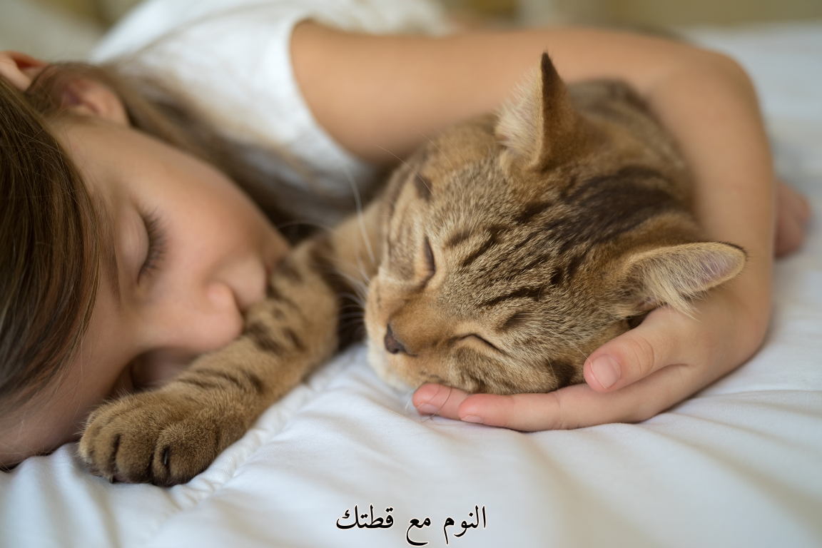 النوم مع قطتك: فوائد ومخاطر يجب أن تعرفها قبل أن تستمر بذلك!💤