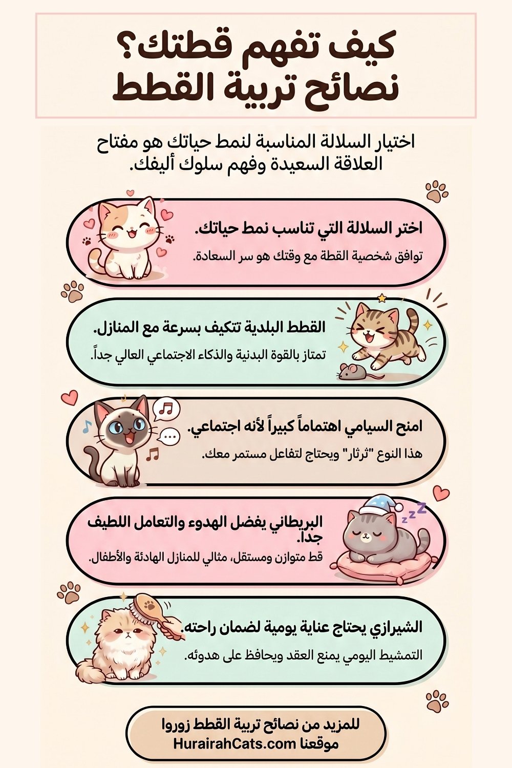 إنفوغرافيك يوضح كيف تختار سلالة القطة المناسبة: القطط البلدية، السيامي الاجتماعي، البريطاني الهادئ، والشيرازي الذي يحتاج عناية يومية