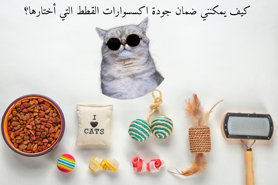 كيف يمكنني ضمان جودة اكسسوارات القطط التي أختارها؟🐱✨