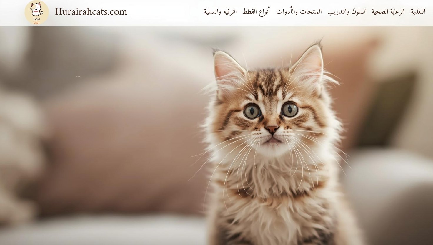 لماذا تستمر القطط في المواء؟ تعرف على الأنواع وكيفية التعامل معها