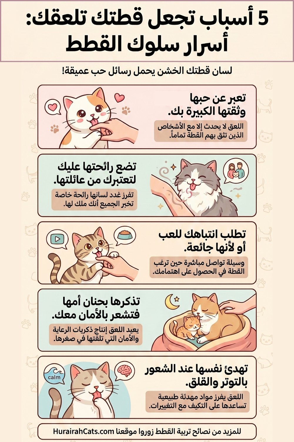 إنفوغرافيك يشرح أسباب لعق القطط لأصحابها من النظافة والعاطفة إلى التواصل والثقة
