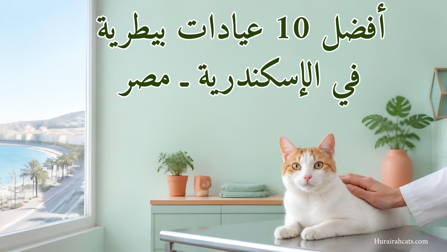 أفضل 10 عيادات بيطرية في الإسكندرية ـ مصر