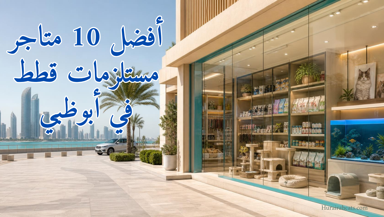 أفضل 10 متاجر مستلزمات قطط في أبوظبي
