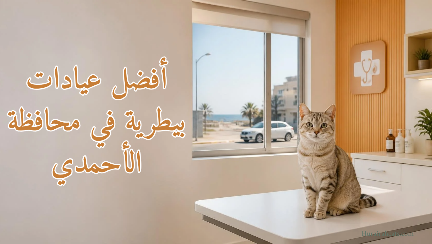 أفضل عيادات بيطرية في محافظة الأحمدي